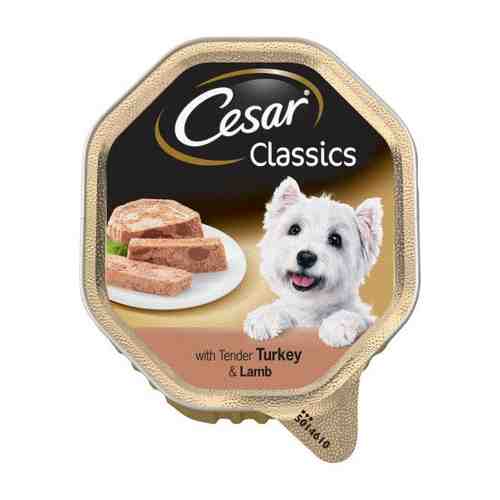 Корм влажный для собак с нежной индейкой и ягненком Классический Cesar 150г арт. 1605464