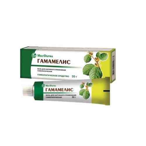 Гамамелис мазь для наружного применения гомеопатическая 30г арт. 671845
