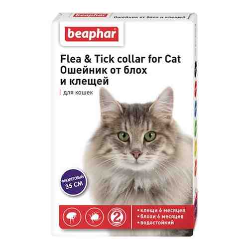 Ошейник для кошек от блох фиолетовый Beaphar/Беафар 35см арт. 1606728
