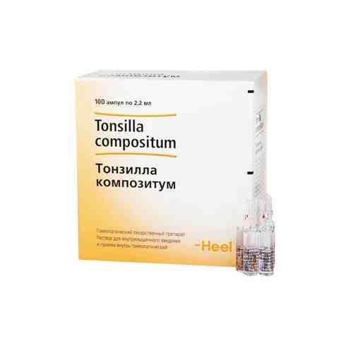 Тонзилла композитум раствор для в/м введ. гомеопатический 2,2мл 100шт арт. 1292066